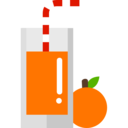 food,vegan,healthy food,food and restaurant,organic,vegetarian,drink,fruit,juice,orange juice